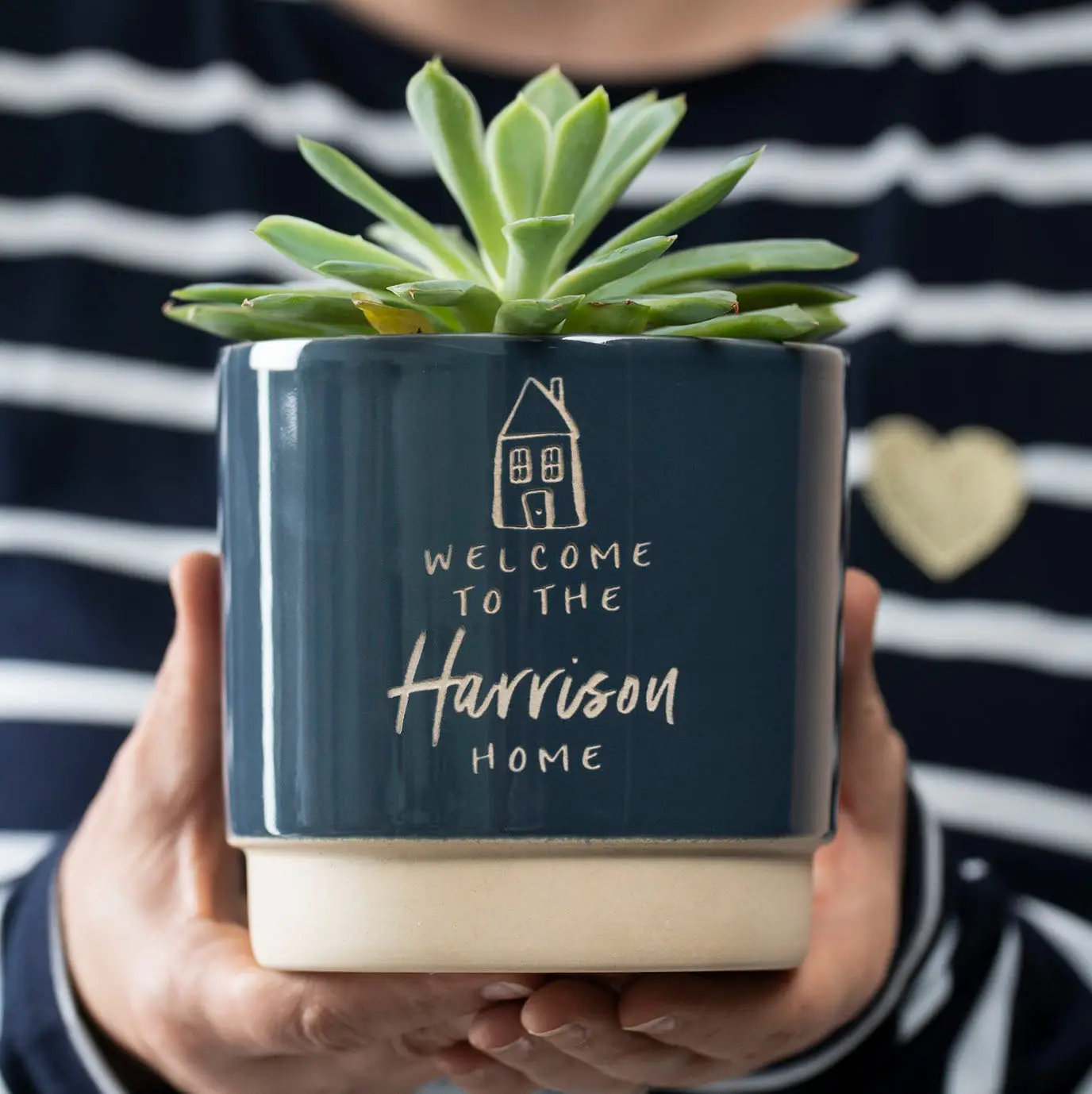 Housewarming Gift for Coworker: Personalized Indoor Plant